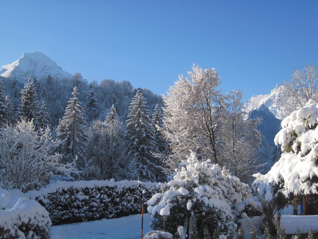Haus Alpengluehn Διαμέρισμα Engedey Εξωτερικό φωτογραφία